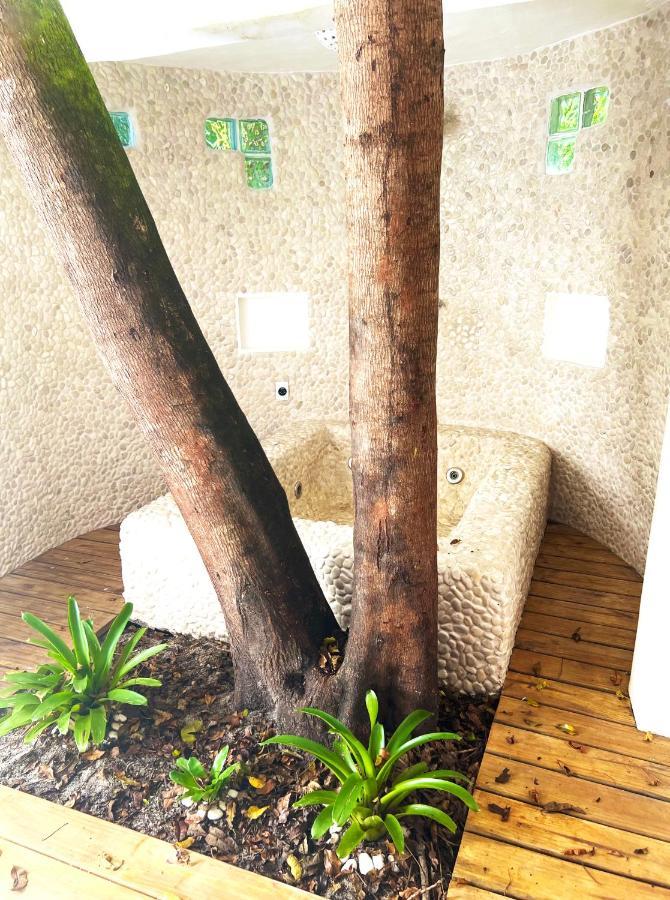 Mangue Sereno Estalagem Caraíva